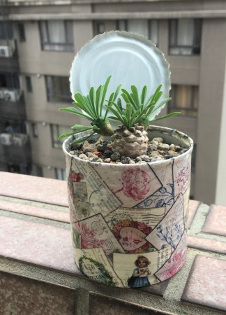 峨嵋山