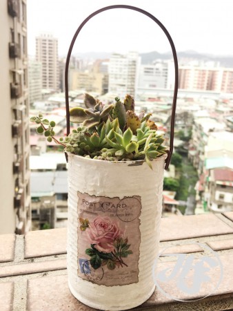 Country Rose